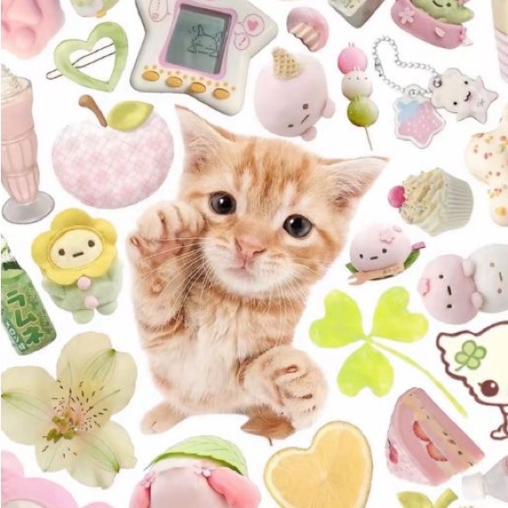 Meet your Posher, Alondra